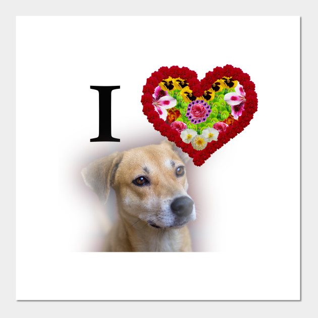 i love dog